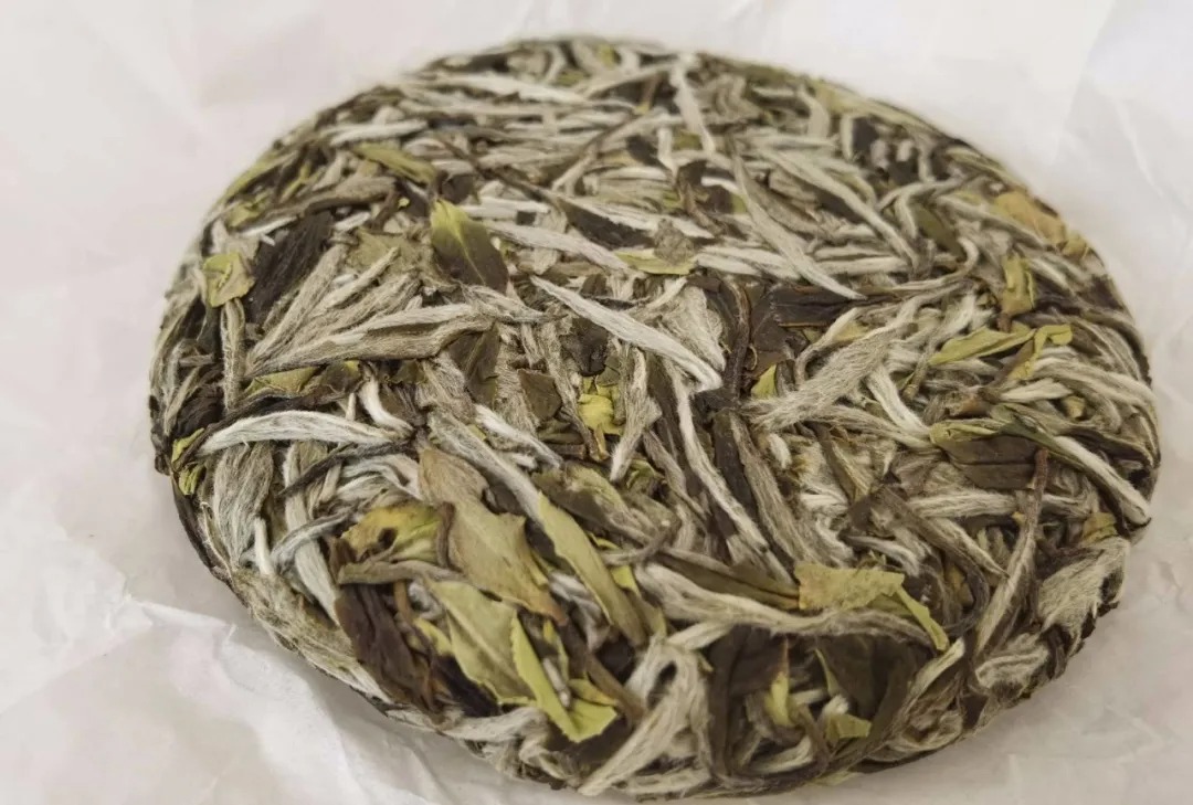 福鼎白茶，一定要選貴的高品級茶嗎？