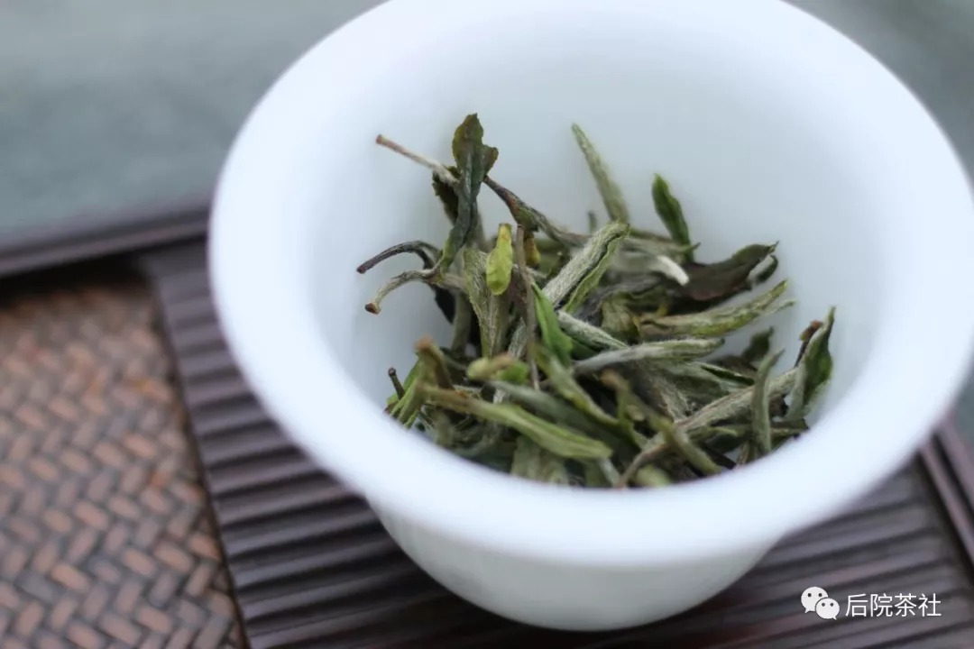 夏天喝什么白茶？也許白牡丹茶是個(gè)不錯(cuò)的選擇