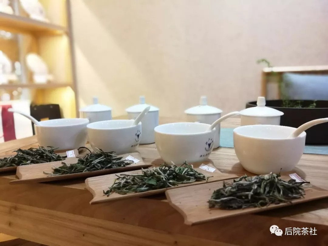 夏天喝什么白茶？也許白牡丹茶是個(gè)不錯(cuò)的選擇