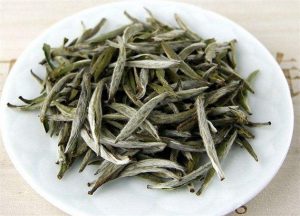 福鼎白茶的功效為什么能治感冒