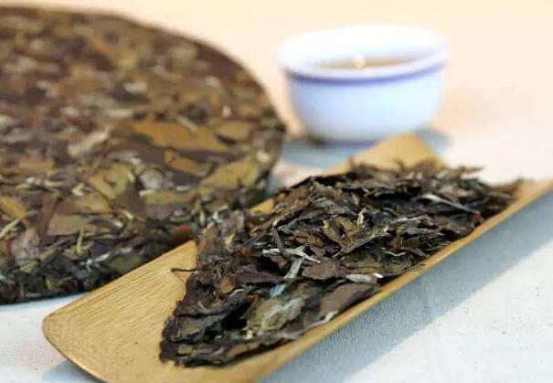 福鼎老白茶的功效與作用