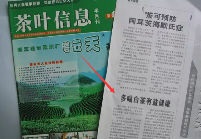 福鼎白茶的功效為什么能增強(qiáng)免疫力