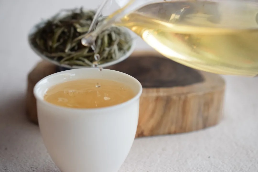選擇白茶終極難題：白茶到底散茶好還是餅茶好？