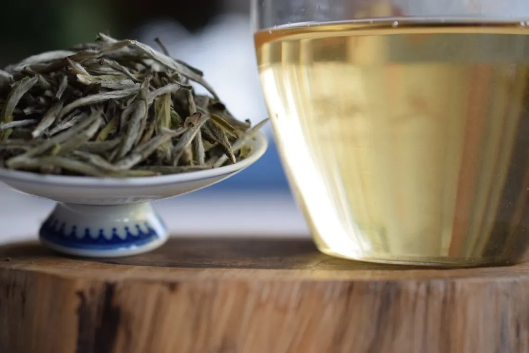選擇白茶終極難題：白茶到底散茶好還是餅茶好？