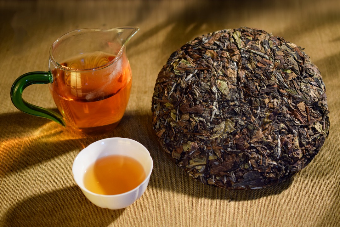 選擇白茶終極難題：白茶到底散茶好還是餅茶好？