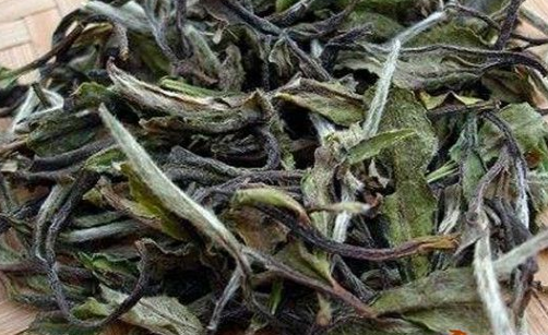 福鼎白茶白露茶的特點