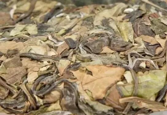 福鼎白茶干茶有什么特點