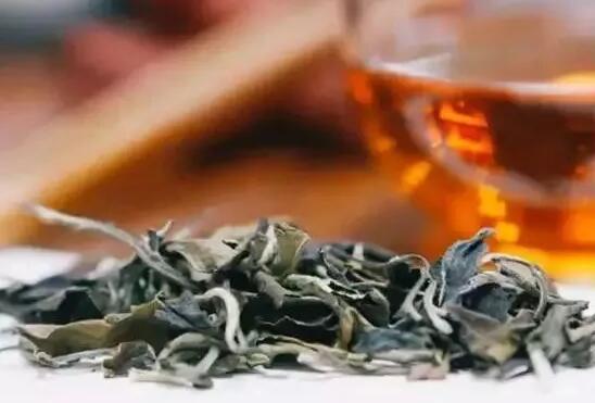 福鼎白茶有什么特點