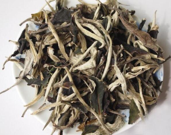 月光白茶的適宜人群