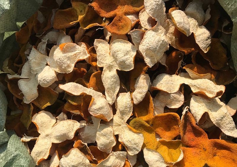 陳皮新貨