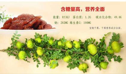 刺梨果的營(yíng)養(yǎng)成分