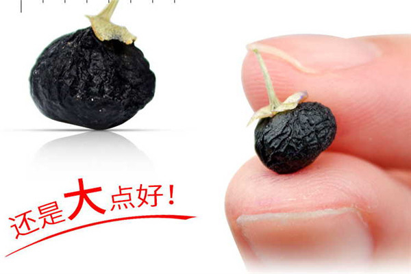 黑枸杞真的抗衰老嗎