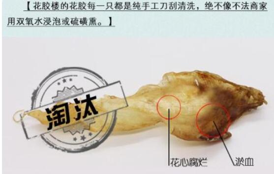 花心魚膠是什么,怎么辨別魚膠花心