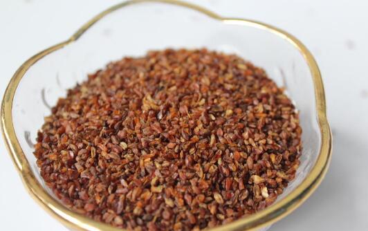 黑苦蕎茶 4