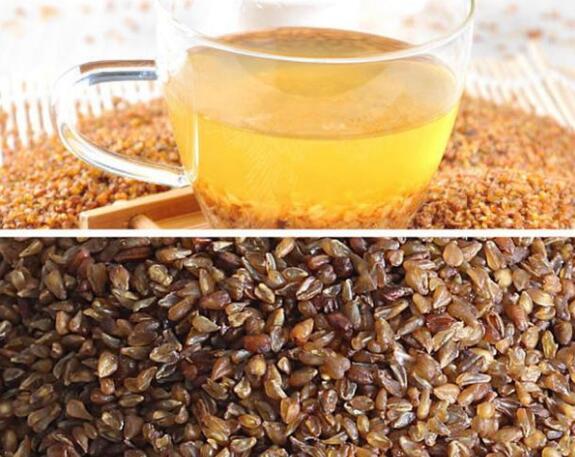 黑苦蕎茶與苦蕎茶有什么不同,黑苦蕎茶與苦蕎茶的區(qū)別 2 黑苦蕎茶 2