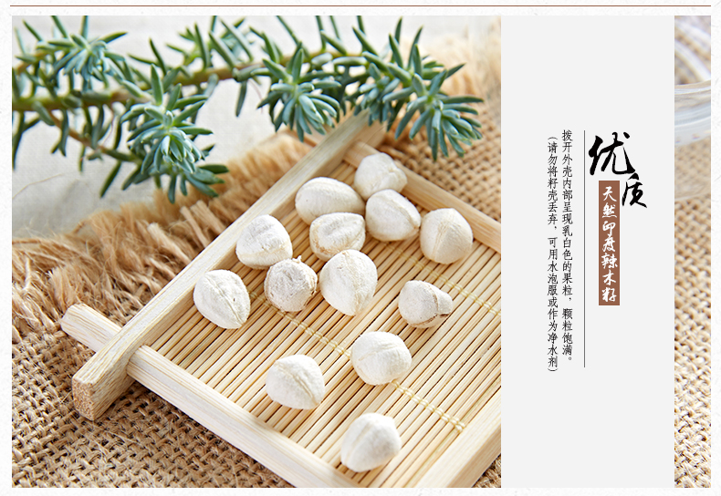 去殼的精品辣木籽