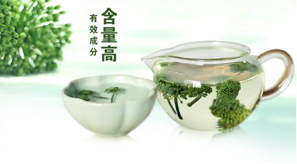三七花茶泡水喝的功效與作用