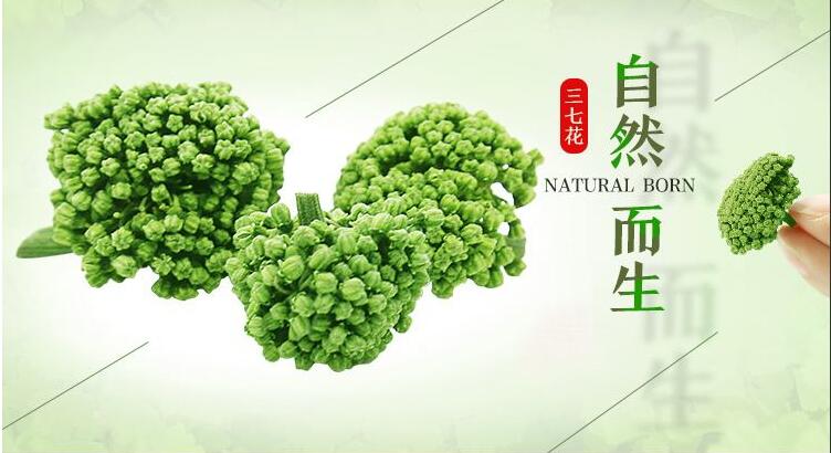 三七花常見的8種功效