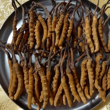 女人腎虛常見10種癥狀,推薦10食物補腎養腎