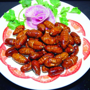 陽痿遺精怎么辦,必吃9大補腎食物