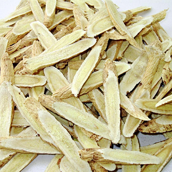 補血益氣禁忌有哪些,服用黃芪注意事項介紹