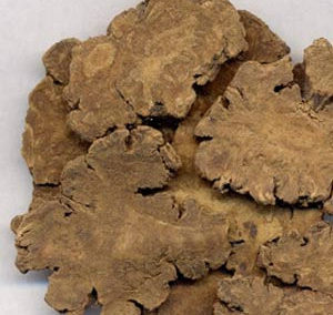 如何補血益氣,當歸食用方法及適合人群