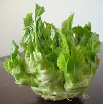 腎虛的癥狀有哪些,冬季腎臟5大求救信號(hào)