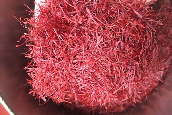 藏紅花能調(diào)理月經(jīng)不調(diào)嗎