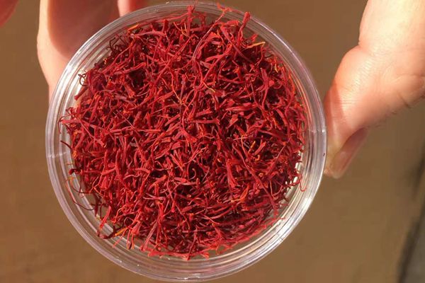 藏紅花能調(diào)理月經(jīng)不調(diào)嗎