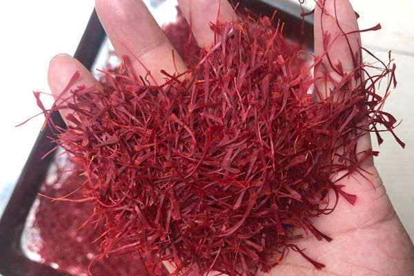 藏紅花吃了有什么好處