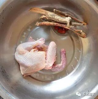五指毛桃根的功效與作用及煲湯配方