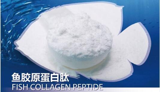 魚膠原蛋白肽粉副作用有哪些